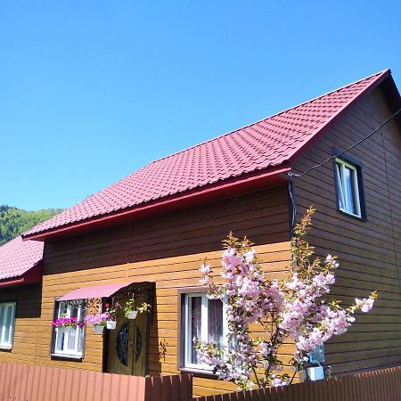 Maison d'hôtes Відпочинок У Карпатах, Мінеральні Ванни, Банний Чан! à Verkhnyaya Bystra Extérieur photo